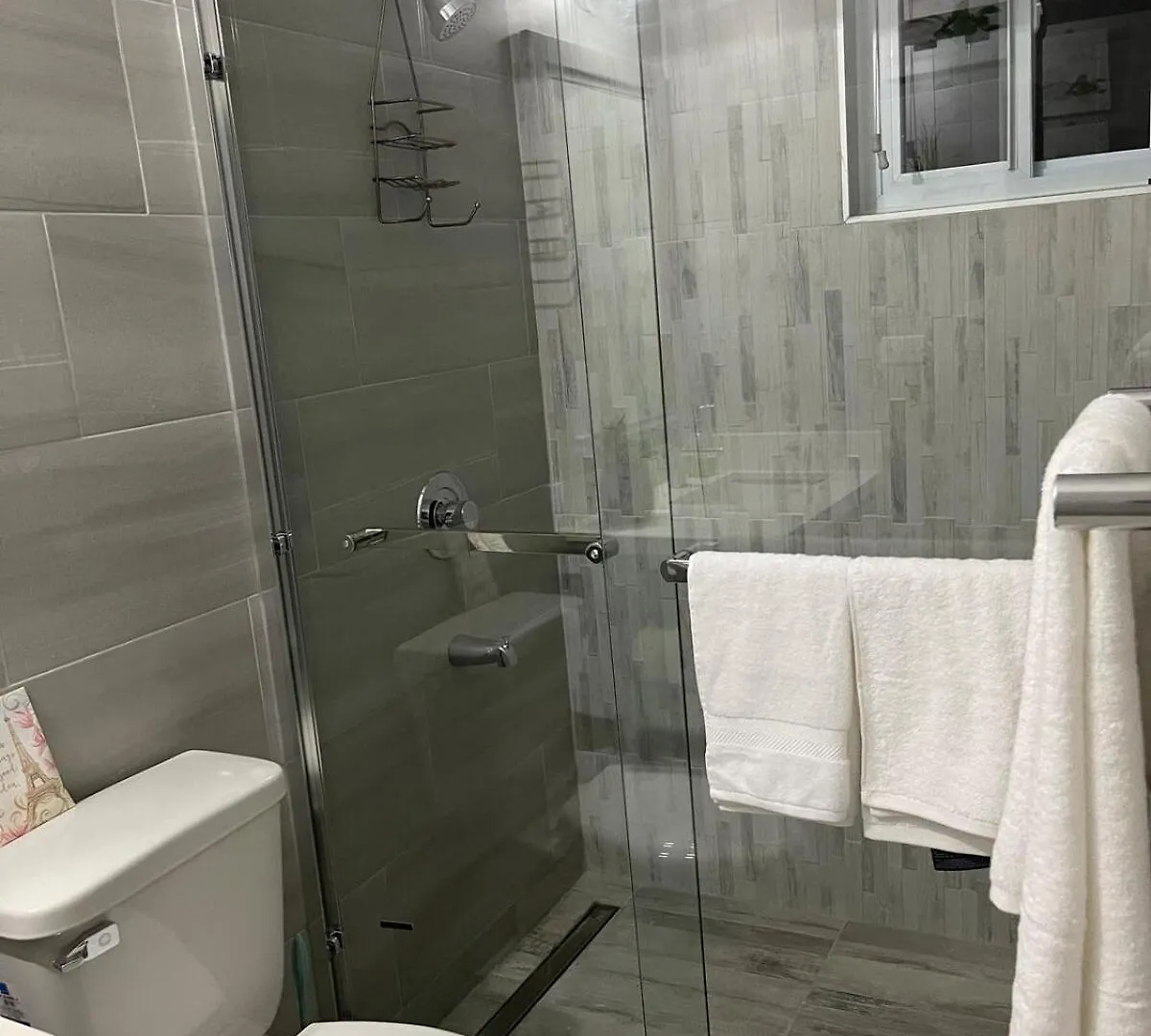 Lux City Apartment With Pool, Ac & 24Hrs Security Kingston Jamaica